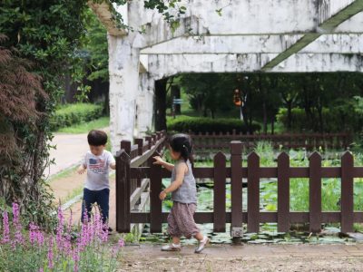 나비정원 옆 연못에서 꽃을 구경하는 아이들